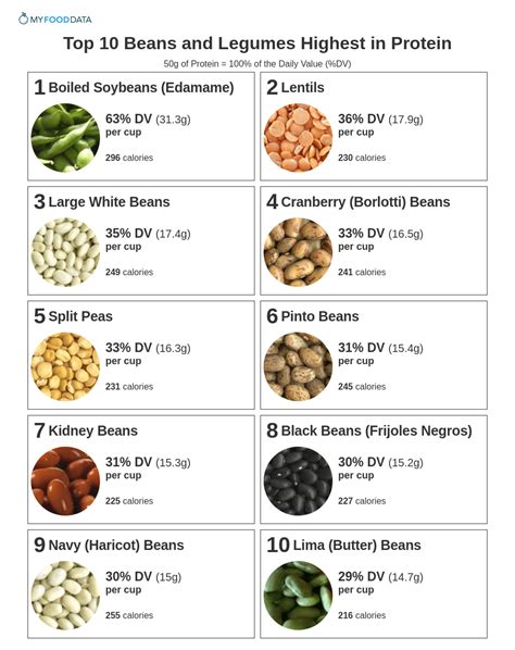 Beans rich in protein .